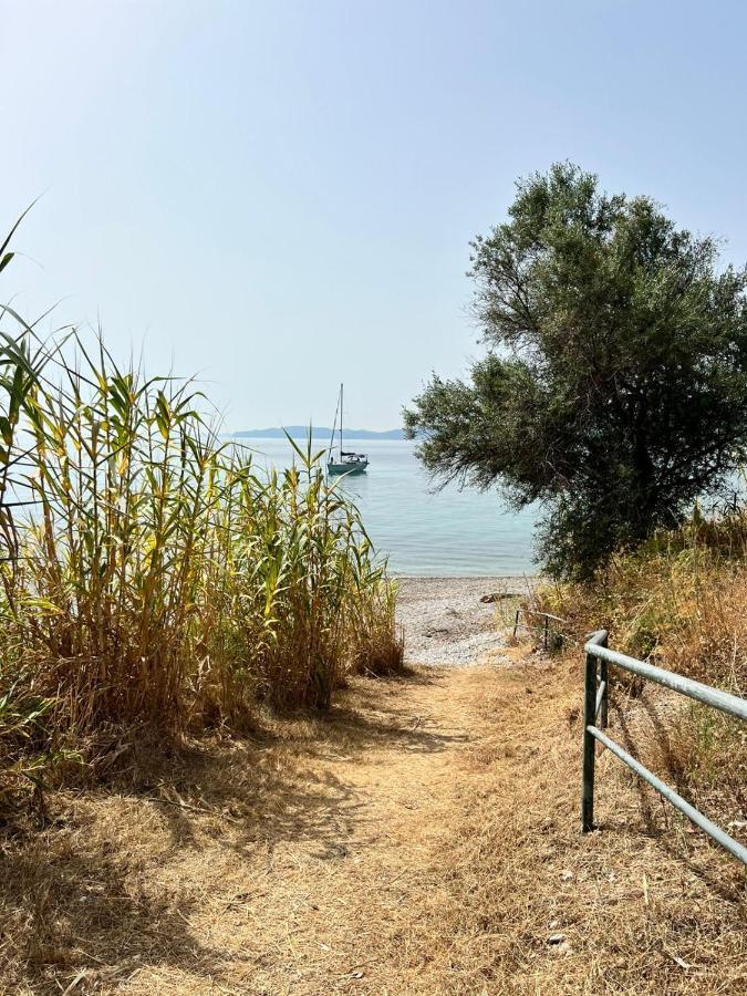 Lithino Apartments - 5Min From The Beach Agios Ioannis Peristerion Exterior foto
